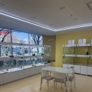 구름이 샵 | 강아지분양샵 멍개구름 호텔링 후기 🐶