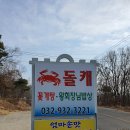 돌캐 이미지