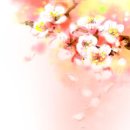 은하민박 이미지