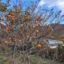 인의농장 이미지