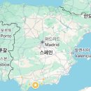 씨엔넷