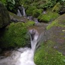 청태산휴양림 이미지