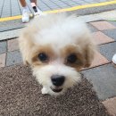 엔씨팩토리 | 천방지축 얼렁뚱땅 9월🌬