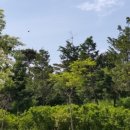 한국폴리텍 II 대학 인천캠퍼스 이미지