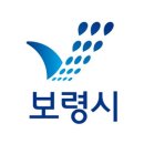 보령시청 이미지