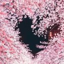 늘;채움