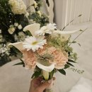 발레리나부케 - 강남구 도산대로70길 26 | 청담 본식부케 추천, 망한부케 살려준 발레리나부케 후기