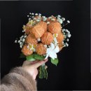 호두미디어 이미지