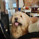 아르볼꼴렉 이미지