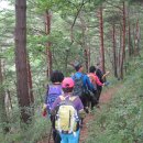 신선약수터 이미지