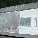 청계산입구 역 2번 출구 이미지