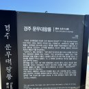 경주대박물관 | 포항울산여행 5탄 (울산1박2일편 - 경주대문무왕릉, 소진담카페, 타니베이호텔)