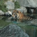 서울대공원 이미지