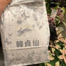 현대 | 여의도 더현대 한정선 두바이찹쌀떡 후기 내돈내산