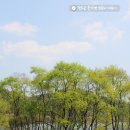 풍산힐링센타