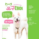 5_9데이 이미지