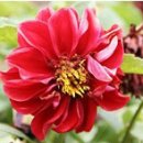 한우사랑농장 이미지