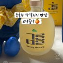 고랑몰랑 | 선정릉 주류박람회 원픽: 상큼한 제주 풋귤주 고랑몰랑 솔직후기
