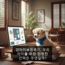 우리네강아지 | 강아지보험후기, 우리 아이를 위한 현명한 선택은 무엇일까?