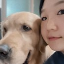 3084 | 동탄 입술반영구 오버립 후기, 입술필러 전 알아볼 립라인교정