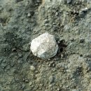 제주 고산리 유적 이미지