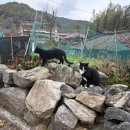 함양산촌 | [지리산] 지리산 근처 아지트 같은 아늑한 카페 산촌민박 옆 마을카페 안녕