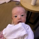 덕지 | 덕지와 조리원라이프 | [Day 3 - 15] 뉴본아트, 모유수유, 산후마사지, 신생아황달, 초유안도는 엄마