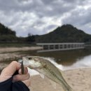 애:영스테이 이미지