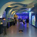 6302 | 울산 남구 장생포 고래생태체험관 | 돌고래 보고 온 후기 아이랑 가볼만한 곳