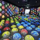 원더파크 | 과천 서울대공원 매직플로우 원더파크 브레드 이발소 주차 식당 후기