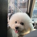 언더아멍 이미지