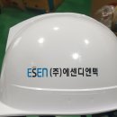 (주)디엔텍