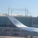 (주)온체 | 겨울 체오헝✈️ : 루프트한자, 독일 프랑크푸르트 경유, 프라하 그란디움호텔 후기