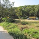 씨알농장 이미지