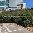 주식회사숲나무 이미지