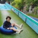 홍천해당화 이미지