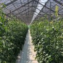 우대농장 이미지