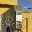 몽이와 키다리 이미지