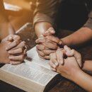 감문초등학교 이미지