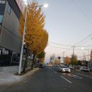 삼거리카포스 이미지