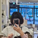 로이드밤익산 | 신상 익산미용실 모현동미용실 로이드밤 익산모현SP점