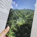 도서출판 사색의 나무