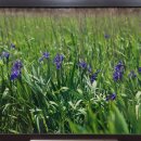 인천나비공원 이미지