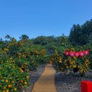 소남농장 이미지