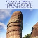 양*석 - 가평군 청군로 | 양*석