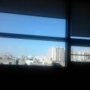 서울우리병원 Daum카페