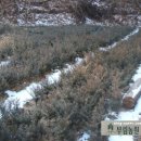 두학농장 이미지