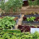 이화의료원어린이집 이미지