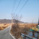 매음보건진료소 네이버블로그