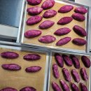 육사농장 이미지